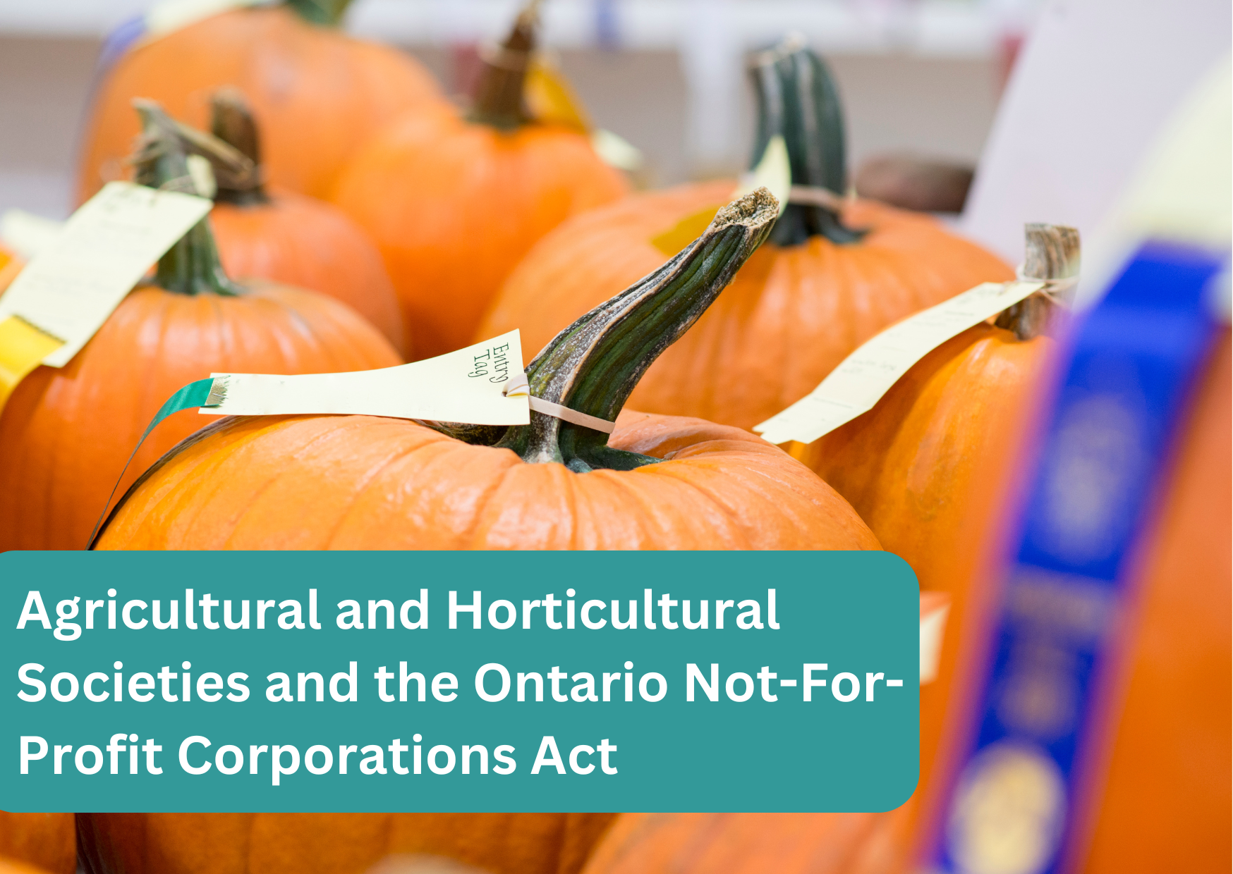 Agricultural and Horticultural Societies and the Ontario Not-For-Profit Corporations Act